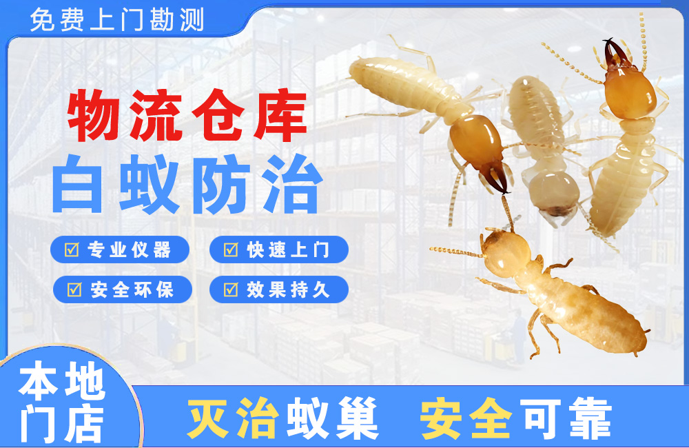 武夷山物流仓库白蚁防治
