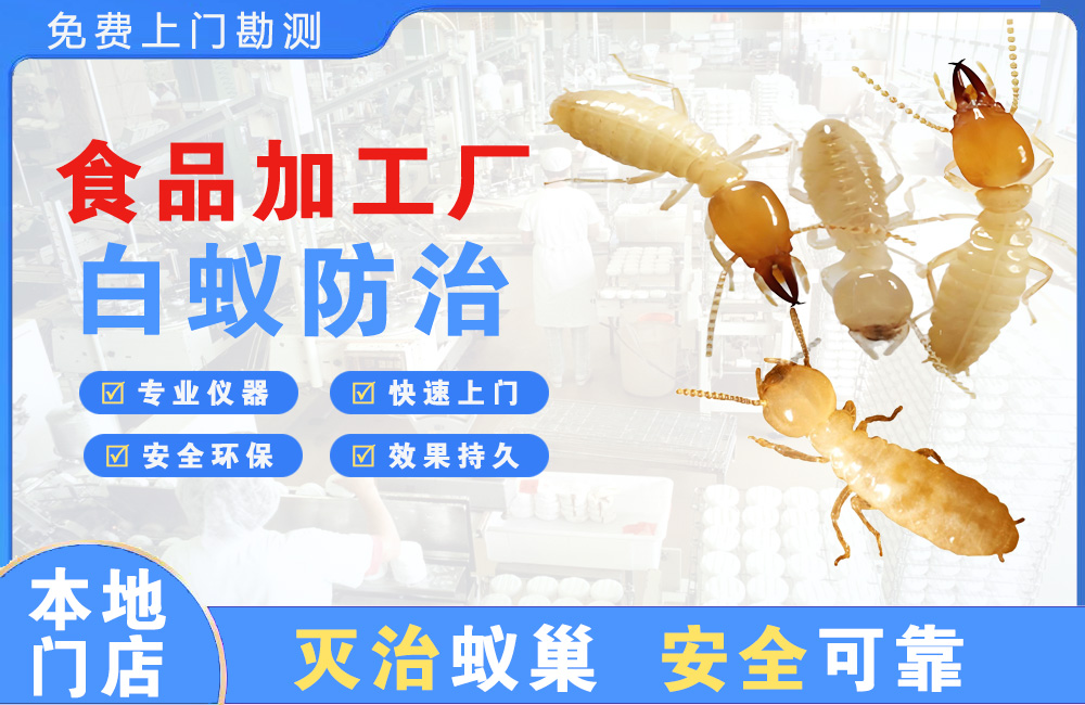 武夷山食品加工厂白蚁防治