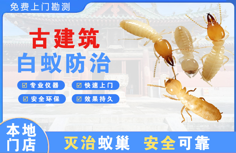 武夷山古建筑白蚁防治