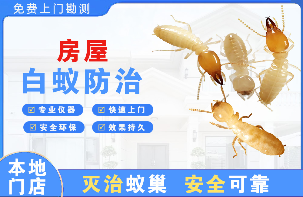 武夷山房屋白蚁防治