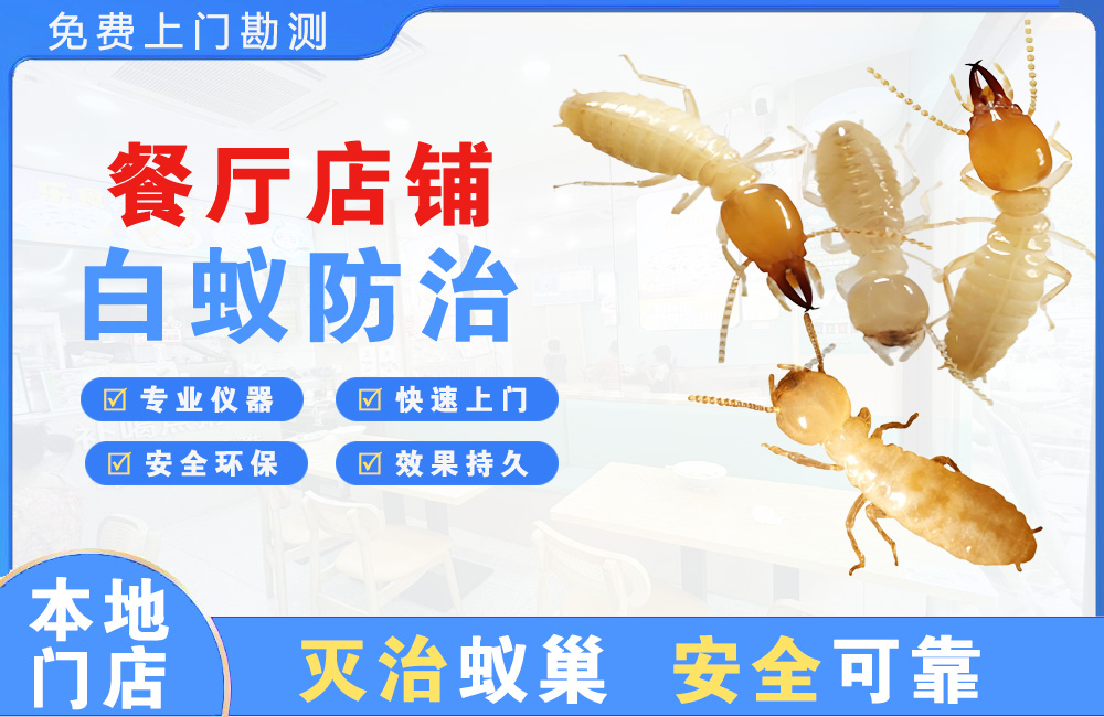 武夷山餐厅店铺白蚁防治